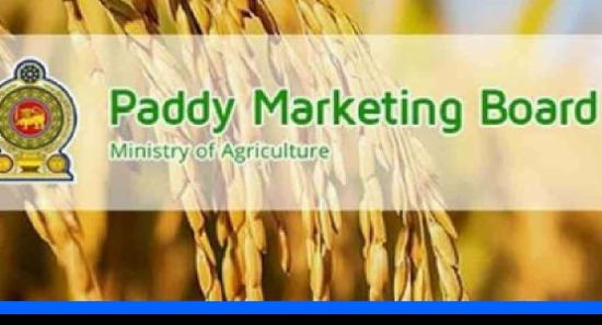 19,592 மெற்றிக் தொன் நெல் கொள்வனவு